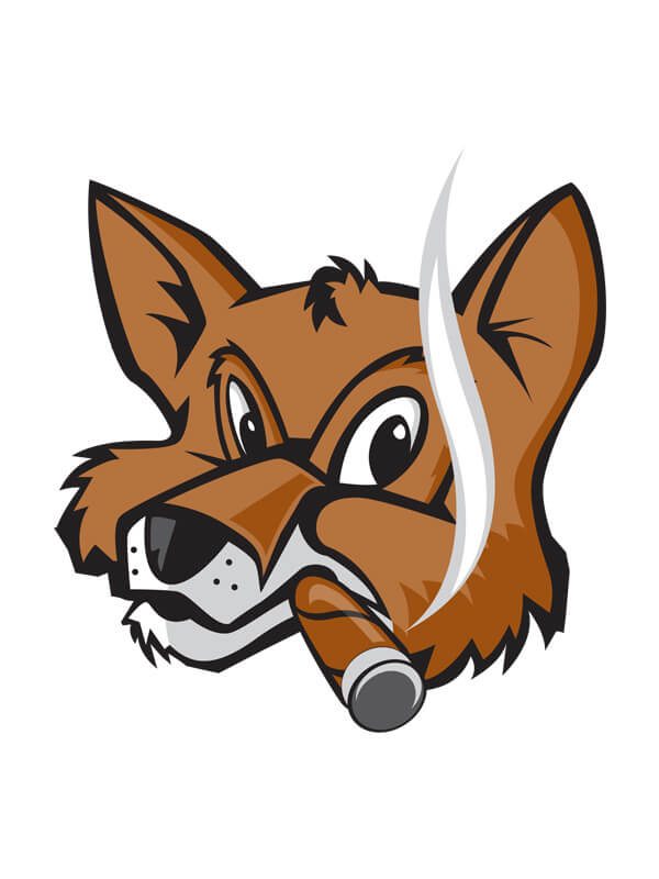placeholder-image 