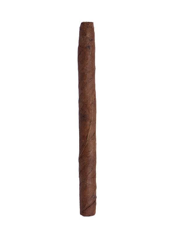 Oliva Serie V Club 20