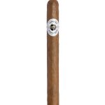 Ashton Classic Churchill