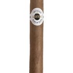 Ashton Classic Majesty