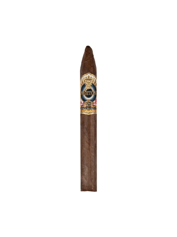 Ashton ESG 22 Year Salute