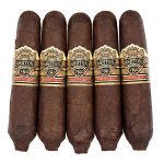 Ashton VSG Enchantment