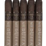 Asylum 13 Medulla Maduro 60 x 6