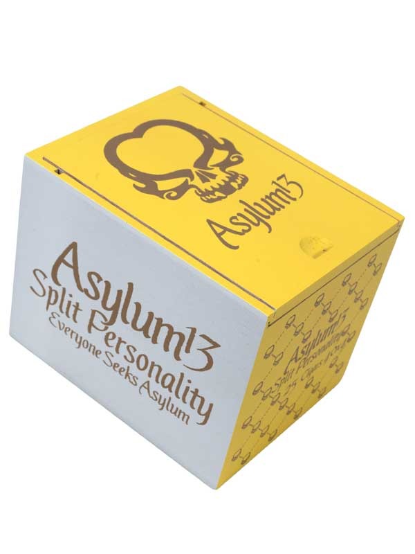 Asylum Split Personality 40 x 4