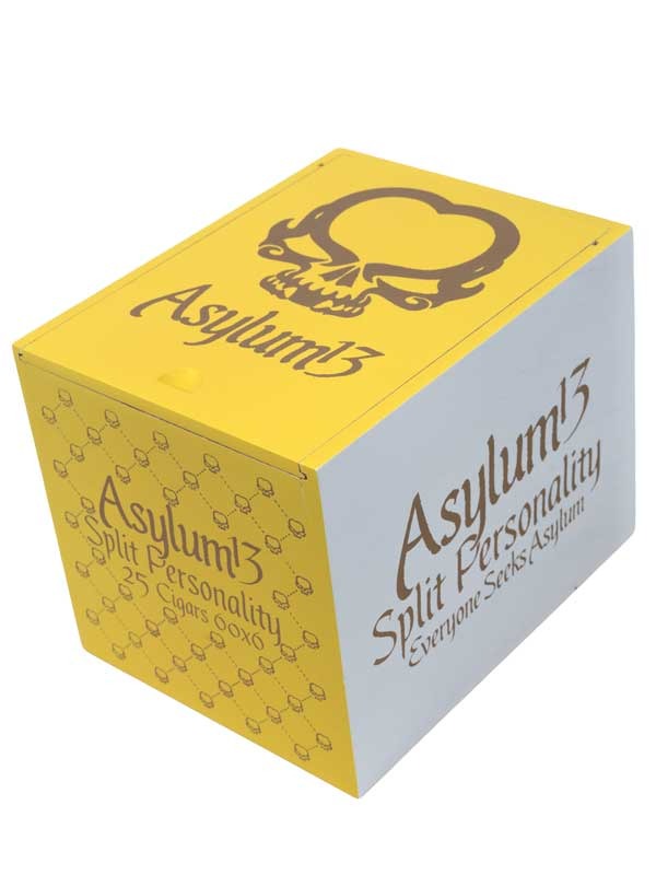 Asylum Split Personality 60 x 6