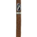 Davidoff Escurio Corona Gorda