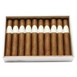 Davidoff Winston Churchill Robusto