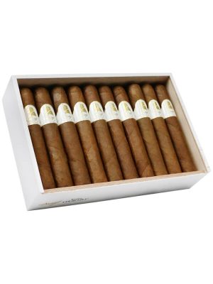 Davidoff Winston Churchill Robusto