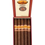 La Aurora Cameroon 1903 Churchill