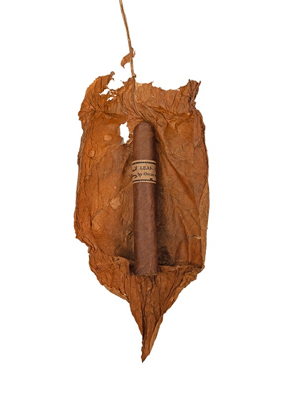 Leaf by Oscar Corojo Robusto