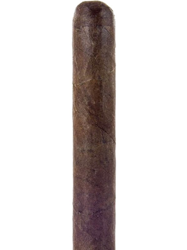 Tatuaje Petite Tatuaje