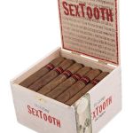 Tatuaje SexTooth Holiday