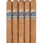 Charter Oak Especial CT Shade Pegnataro