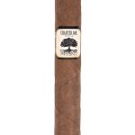 Foundation Charter Oak Habano Rothschild