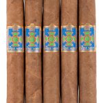 Foundation Wise Man Corojo Corona