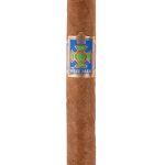 Foundation Wise Man Corojo Robusto