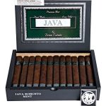 Java Mint Robusto