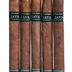 Java Mint Robusto